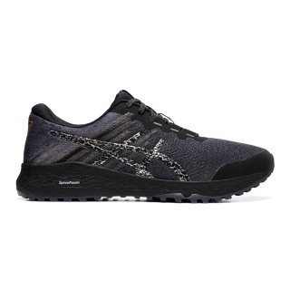 Asics Alpine XT 2 szare buty do biegania w terenie dla mężczyzn