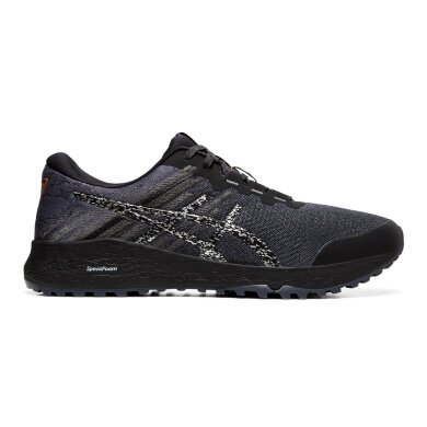 Asics buty do biegania w terenie Alpine XT 2 szare męskie