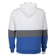 Champion Bluza z kapturem (Hoodie) Colour Block Script biały/niebieski dla chłopców