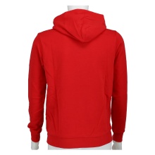 Champion Bluza z kapturem (Bawełniany hoodie) Duże Logo 2024 czerwony Chłopcy