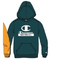 Champion Bluza z kapturem (Fleece bawełniany) z logo Nowego Jorku w kolorze niebiesko-zielonym dla dzieci