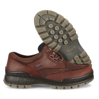 ECCO Buty trekkingowe Track 25 Low GTX (Buty codzienne, skórzane, wodoodporne) brązowe męskie