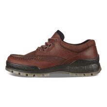 ECCO Buty trekkingowe Track 25 Low GTX (Buty codzienne, skórzane, wodoodporne) brązowe męskie