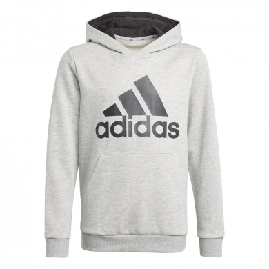 adidas Bluza z kapturem Hoodie Big Logo szary dla chłopców