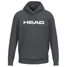 Head Kapuzenpullover Club Original Hoodie (mieszanka materiałów) szary chłopcy