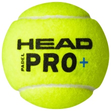 Head Padelballe Pro+ Padel 24x3 sztuki w kartonie