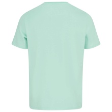 Head T-shirt Freizeit Motion (Bawełna organiczna) pastelowa zieleń Mężczyźni