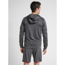 hummel Sportowa bluza z kapturem hmlAUTHENTIC Poly Zip Hoodie (strukturalny poliester) z kapturem szary asfaltowy Mężczyźni