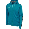 hummel Sportowa bluza z kapturem hmlAUTHENTIC Poly Zip Hoodie (strukturalny poliester) z kapturem niebiesko-zielona męska