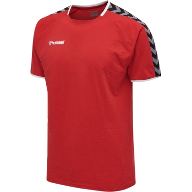 hummel Koszulka sportowa hmlAUTHENTIC Training Tee (mieszanka bawełny i poliestru) Krótki rękaw czerwony Mężczyźni