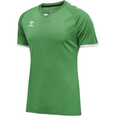 hummel Sportowa koszulka hmlCORE Volley Tee (Poliester, materiał jersey) Krótki rękaw zielony Mężczyźni