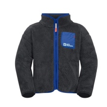 Jack Wolfskin Fleecejacke Gleely (miękka, ciepła, oddychająca) szary dziecięcy