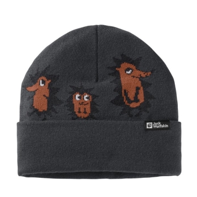 Jack Wolfskin Czapka (Beanie) Gleely - szary fantomowy Dziecięcy