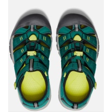 Keen Sandal Newport H2 (szybkoschnący, system szybkiego sznurowania z rzepem) zielony dziecięcy