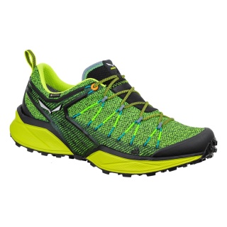 Salewa Buty trekkingowe Dropline GTX (Speed-Hiking, wodoodporne) zielone męskie