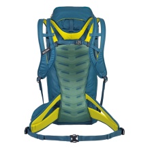 Salewa Zimowy plecak górski Randonnée (do skituringu, system nośny Dry Back Contact) niebieski - 36 litrów