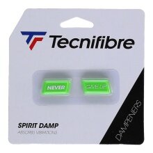 Tecnifibre Tłumik drgań Spirit Damp (Nigdy/Nie poddawaj się) zielony - 2 sztuki