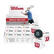 Wilson Squashball Staff (czerwony punkt, średnia prędkość) czarny - <b>12 piłek w kartonie</b>