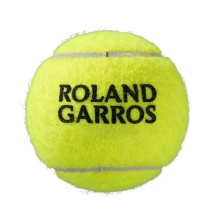 Piłki tenisowe Wilson Roland Garros Clay 18x4 w kartonie