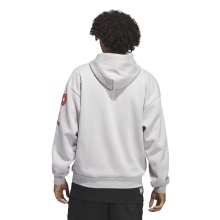 adidas Bluza z kapturem D.O.N. Select Hoodie (mieszanka bawełny) szara męska