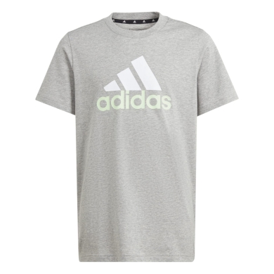 adidas T-shirt rekreacyjne Essentials Two-Color Big Logo (100% bawełna) szary/biały dziecięcy