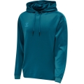 hummel Sportowa bluza z kapturem hmlCORE XK Poly Sweat Hoodie (materiał poliestrowy) z kapturem koralowo-niebieska męska