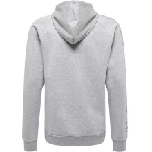 hummel Bluza z kapturem hmlMOVE Grid Cotton Hoodie (Bawełna) z kapturem szara Mężczyźni