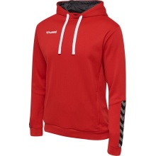 hummel Sportowa bluza z kapturem hmlAUTHENTIC Poly Hoodie (dzianina poliestrowa) z kapturem czerwony Mężczyźni