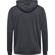 hummel Sportowa kurtka z kapturem hmlAUTHENTIC PL Zip Hoodie (100% rec. poliester) asfaltowy szary Mężczyźni