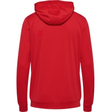 hummel Sportowa bluza z kapturem hmlAUTHENTIC PL Zip Hoodie (100% rec. poliester) czerwony męski