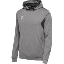 hummel Sportowa bluza z kapturem hmlAUTHENTIC PL Hoodie (z kieszeniami na zamek błyskawiczny) szara Mężczyźni