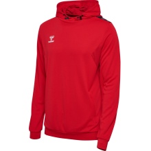 hummel Sportowa bluza z kapturem hmlAUTHENTIC PL Hoodie (z kieszeniami na zamek błyskawiczny) czerwony Mężczyźni