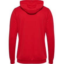 hummel Sportowa bluza z kapturem hmlAUTHENTIC PL Hoodie (z kieszeniami na zamek błyskawiczny) czerwony Mężczyźni