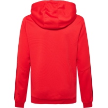 hummel Sportowa bluza z kapturem hmlAUTHENTIC Poly Hoodie (dzianina poliestrowa) z kapturem czerwony dziecięcy