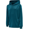 hummel Sportowa bluza z kapturem hmlCORE XK Poly Sweat Hoodie (materiał poliestrowy) z kapturem koralowo-niebieska dziecięca