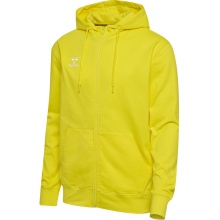 hummel Bluza z kapturem hmlGO 2.0 Full-Zip Hoodie (miękki materiał dresowy) żółty Mężczyźni