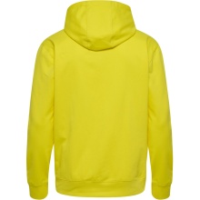 hummel Bluza z kapturem hmlGO 2.0 Full-Zip Hoodie (miękki materiał dresowy) żółty Mężczyźni