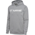 hummel Bluza z kapturem hmlGO 2.0 Logo Hoodie (miękki materiał dresowy) szary Mężczyźni