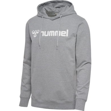 hummel Bluza z kapturem hmlGO 2.0 Logo Hoodie (miękki materiał dresowy) szary Mężczyźni