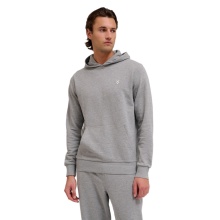 hummel Bluza z kapturem hmlPULSE Sweat Hoodie (Bawełna, wygodny krój) szary Mężczyźni