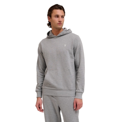 hummel Bluza z kapturem hmlPULSE Sweat Hoodie (Bawełna, wygodny krój) szary Mężczyźni