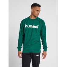 hummel Sweter Basic hmlGO Cotton Sweatshirt Duże Logo (Bawełna) ciemnozielony Mężczyźni