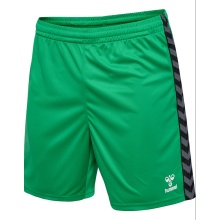 hummel Spodenki sportowe hmlAUTHENTIC PL Shorts (100% poliester) krótkie zielone męskie