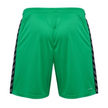 hummel Spodenki sportowe hmlAUTHENTIC PL Shorts (100% poliester) krótkie zielone męskie