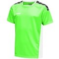 hummel T-shirt sportowe hmlAUTHENTIC Poly Jersey (lekki materiał jersey) Krótki rękaw neonowy zielony Dzieci