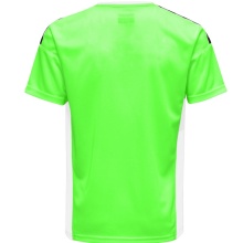 hummel T-shirt sportowe hmlAUTHENTIC Poly Jersey (lekki materiał jersey) Krótki rękaw neonowy zielony Dzieci