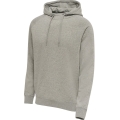 hummel Bluza z kapturem Basic hmlRED Classic Hoodie (Bawełna) szara Mężczyźni