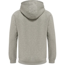 hummel Bluza z kapturem Basic hmlRED Classic Hoodie (Bawełna) szara Mężczyźni